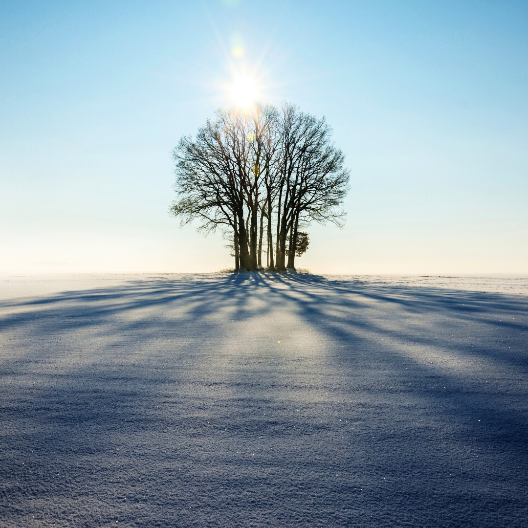 プレミアム講座『古事記を親しむ』福田 命講師編　第三回　幸せへの気づき ～ 今を生きる3～心を「今・ここに」もってくる秘訣